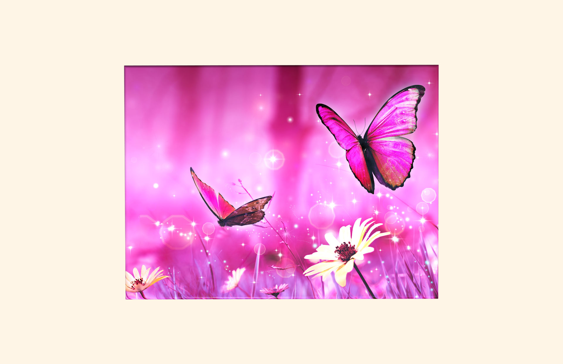 Perfect Pink adult ashes casket top view