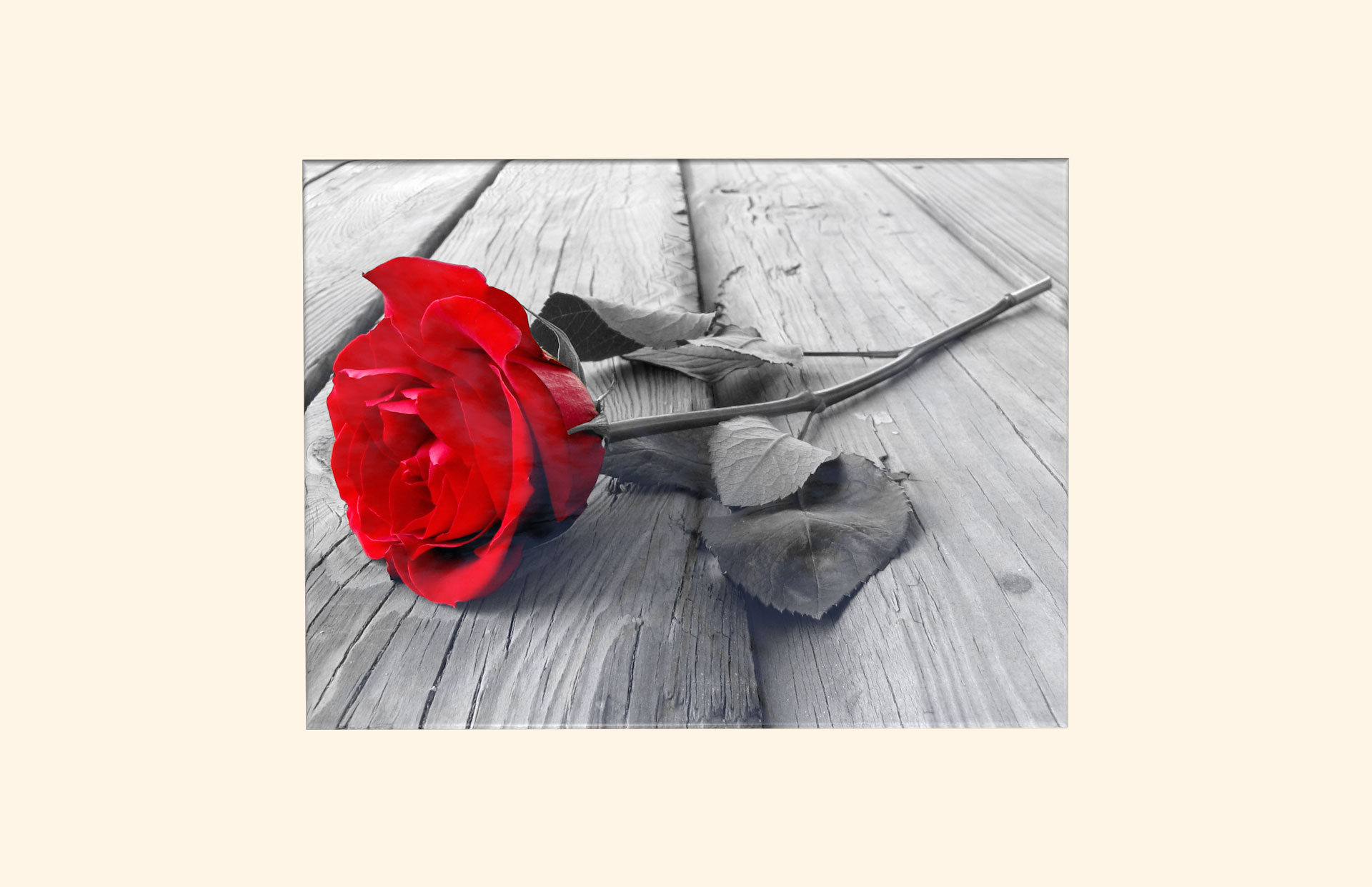 Pure Love adult ashes casket top view