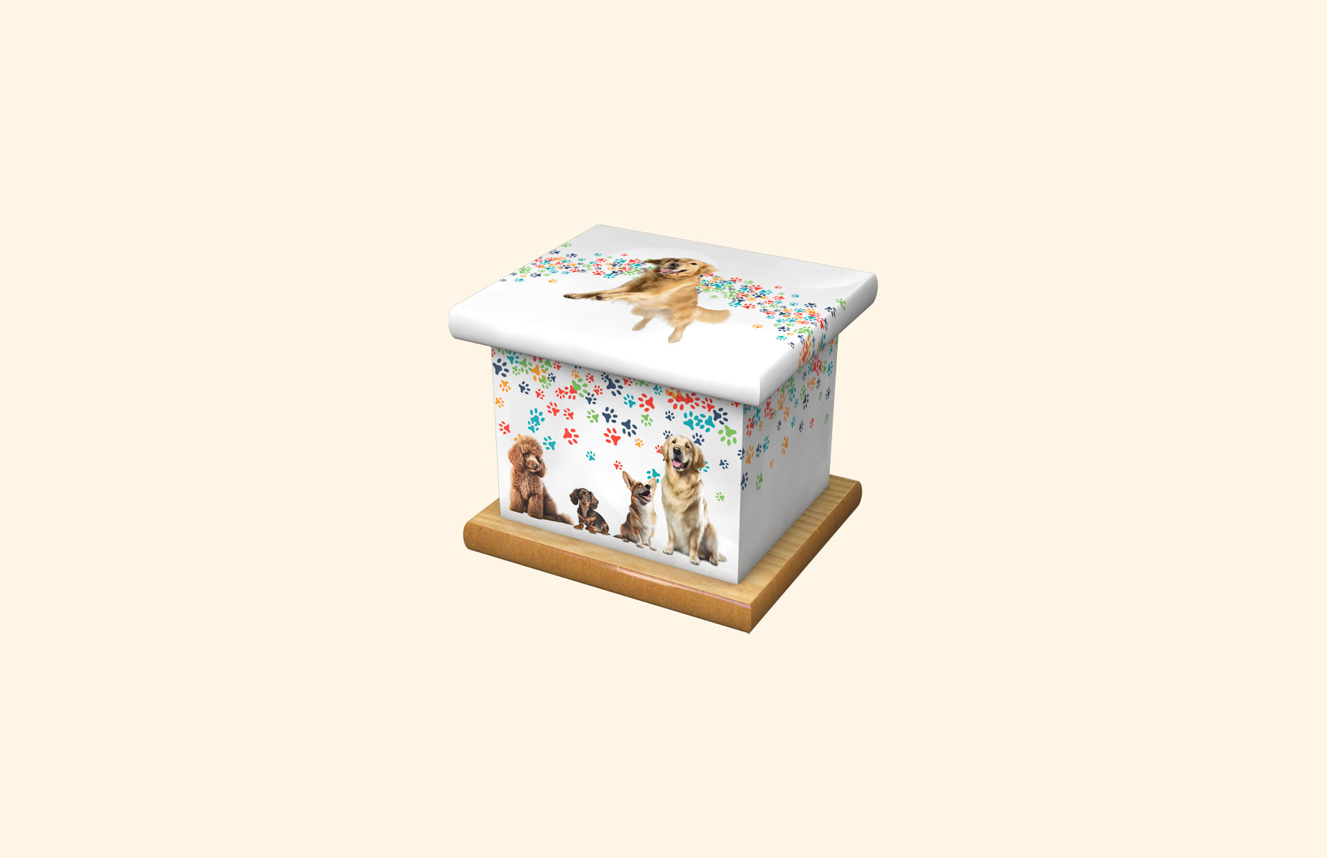 Dogs infant ashes casket
