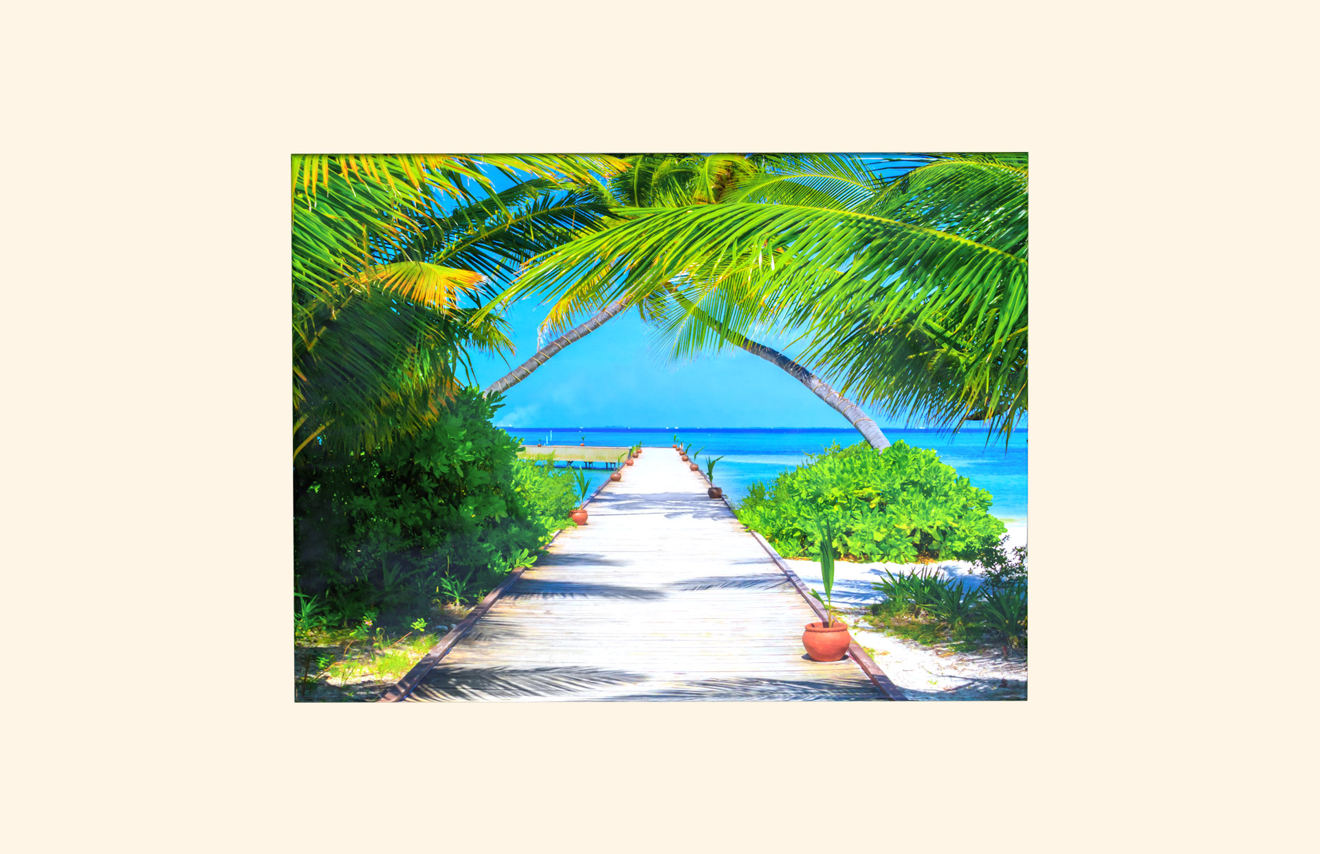 Maldives adult ashes casket top view