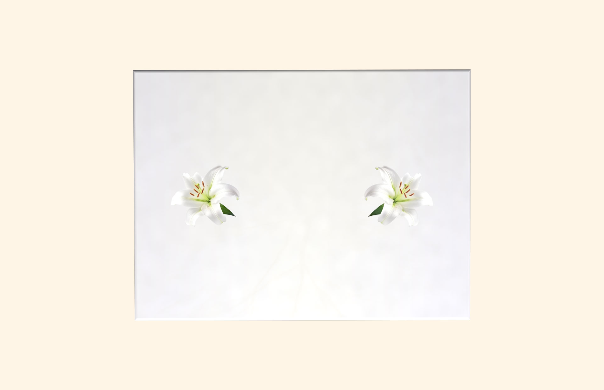 Dainty Blooms adult ashes casket top view