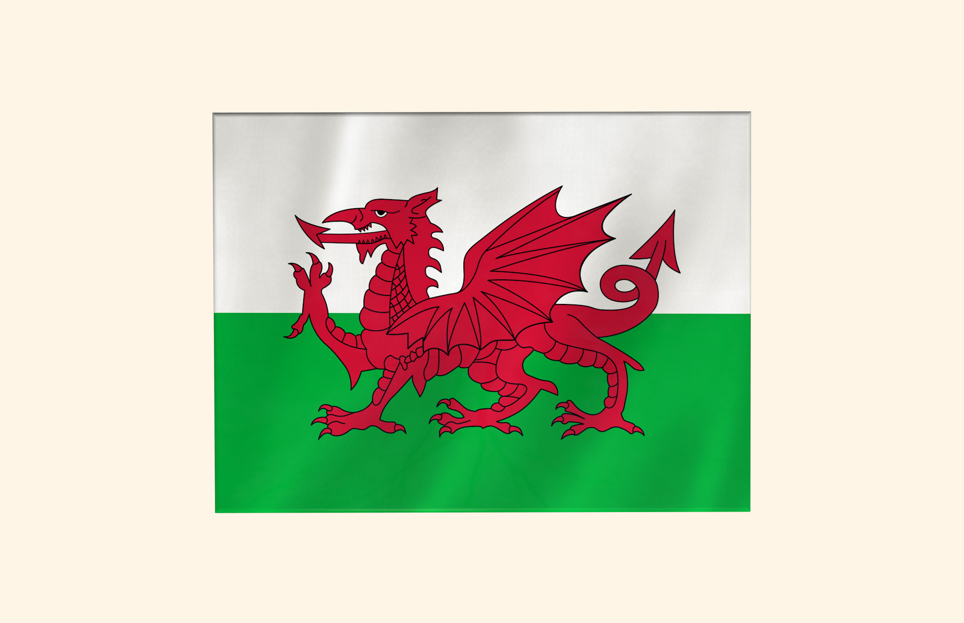 Cymru Am Byth adult ashes casket top view