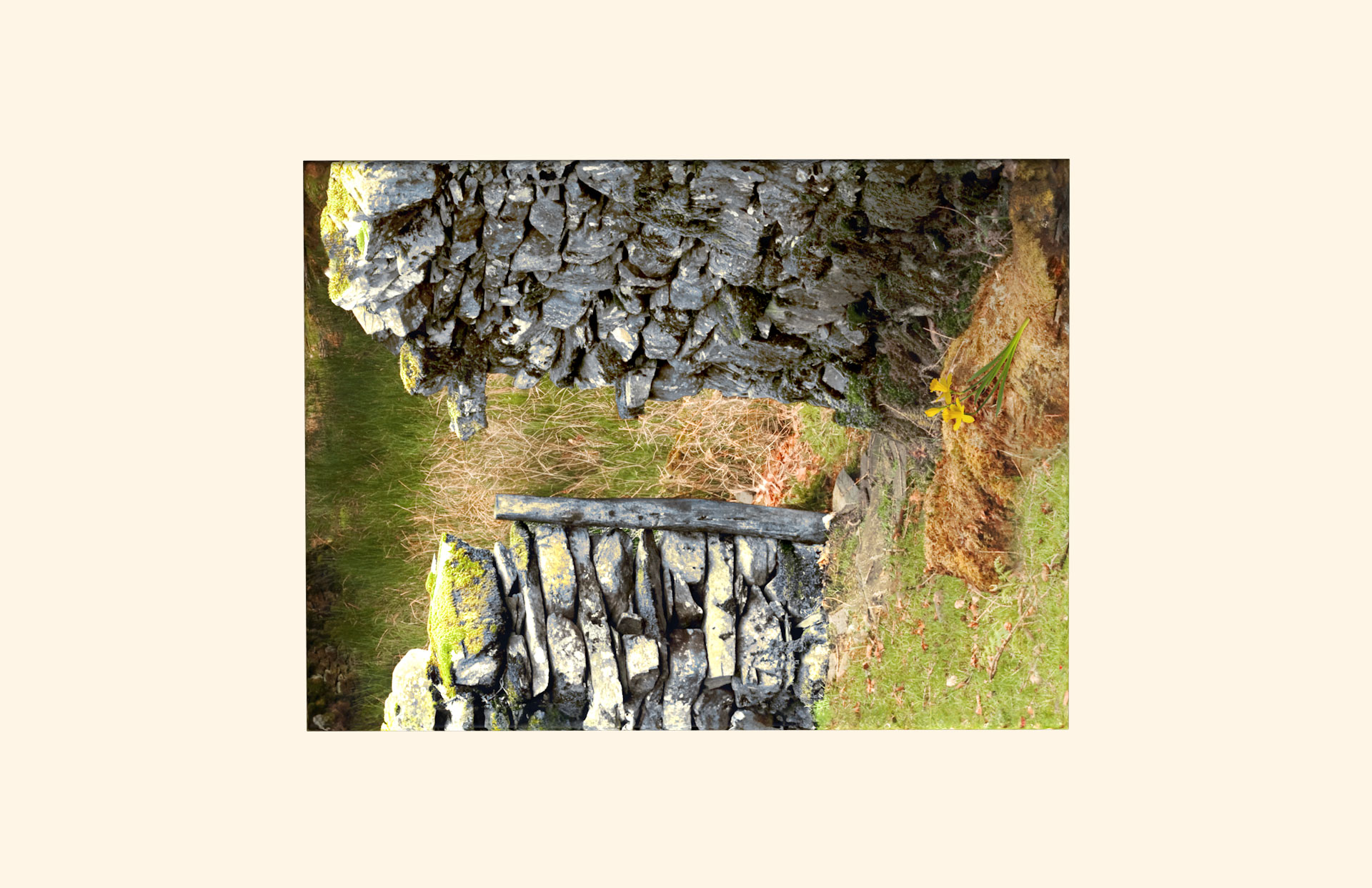 Llwybr Cymreig adult ashes casket top view