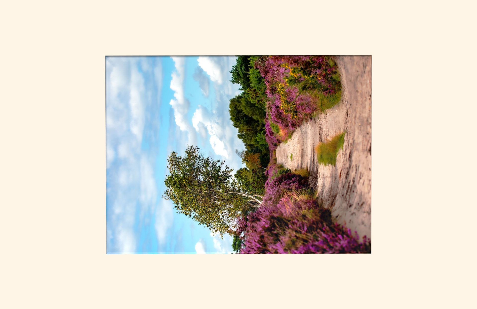 Dunwich Heath adult ashes casket top view