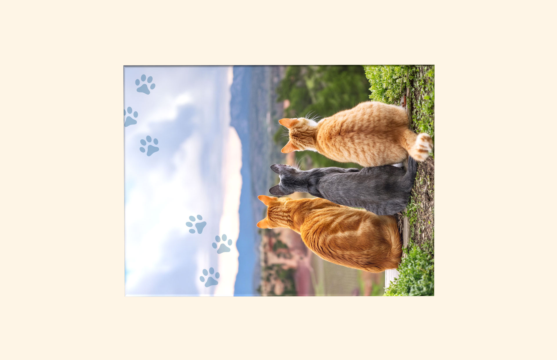 Paw Prints adult ashes casket top view