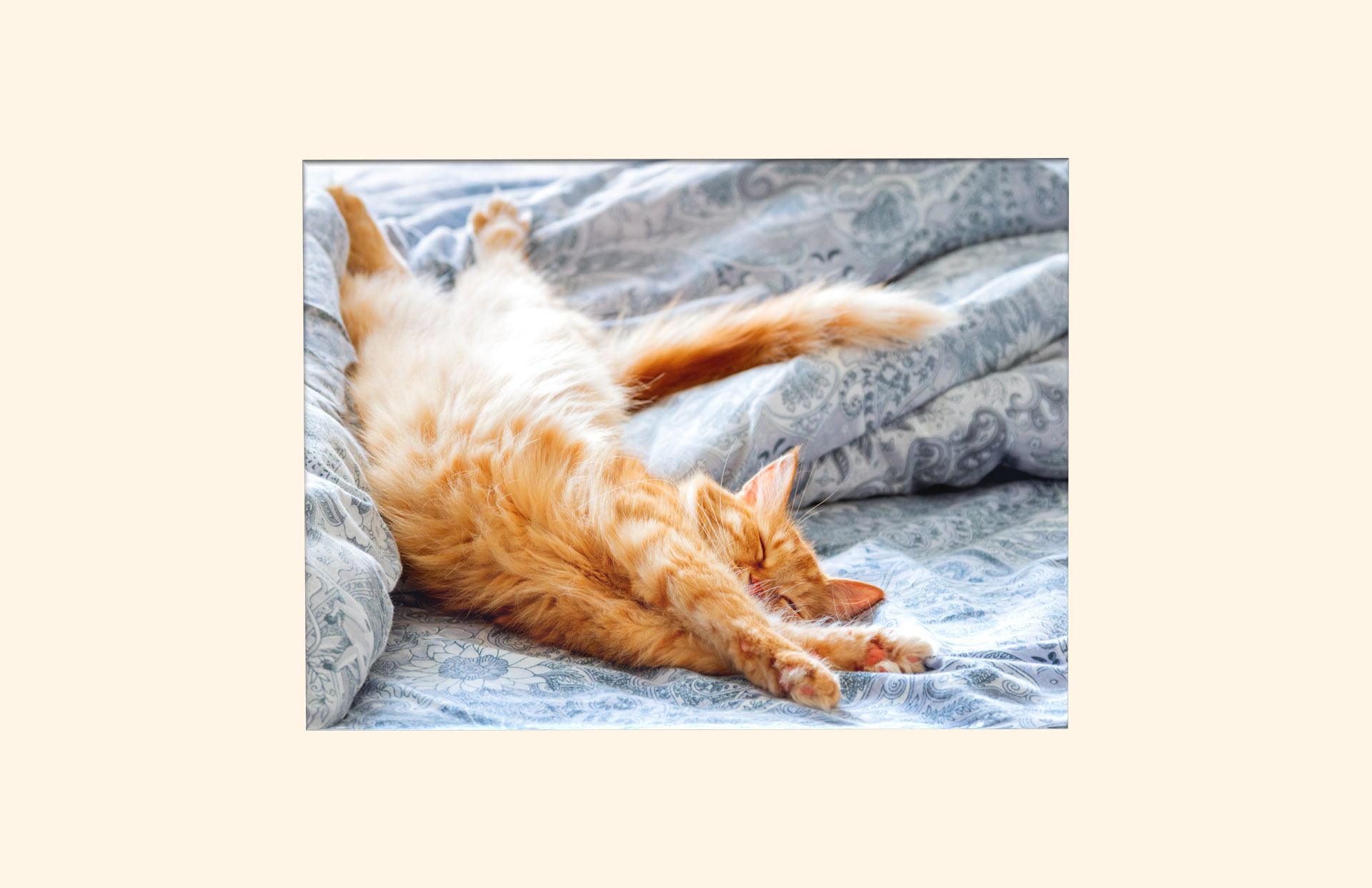 Sleepy Time adult ashes casket top