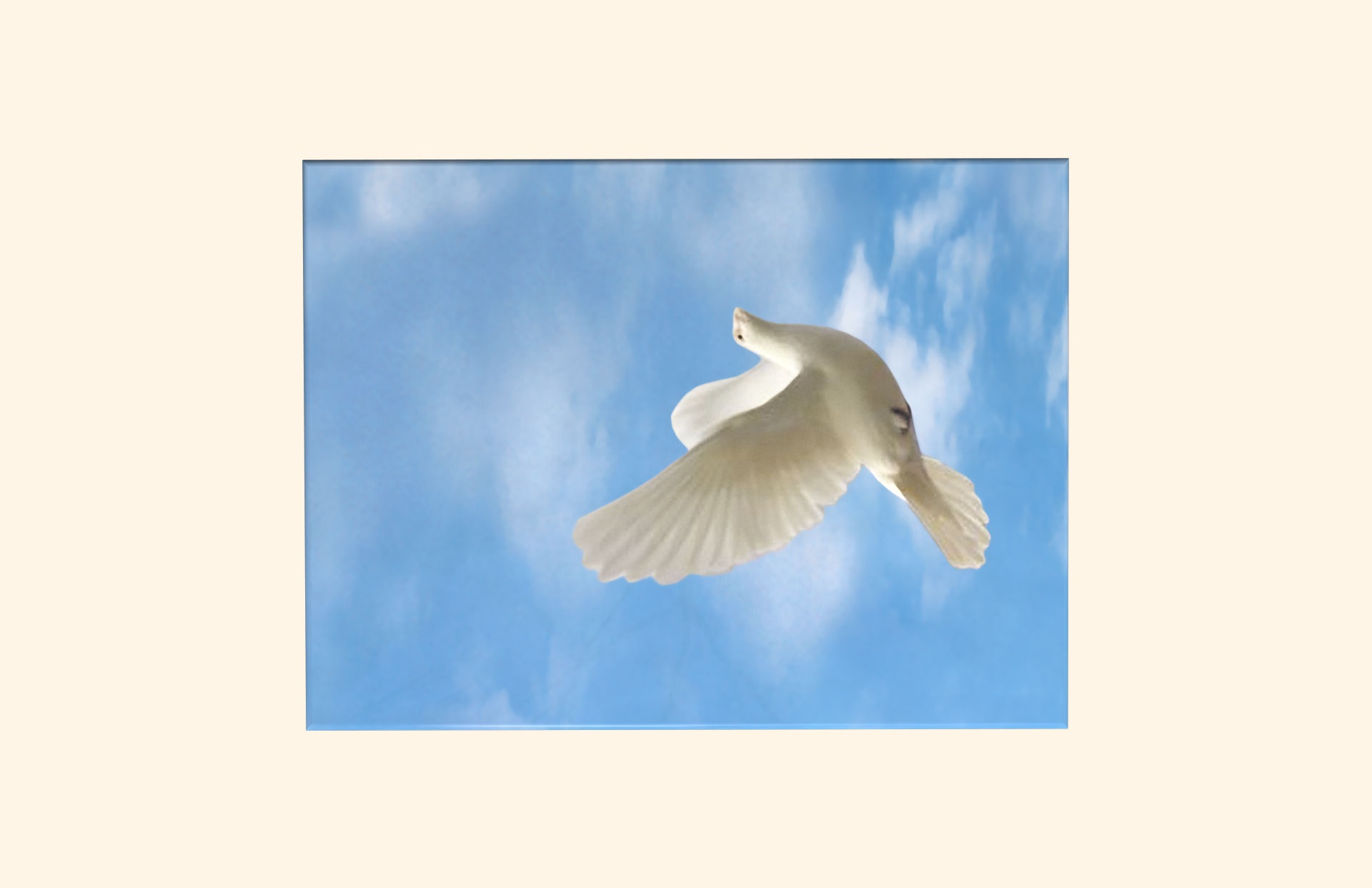 Dove of Peace adult ashes casket top view