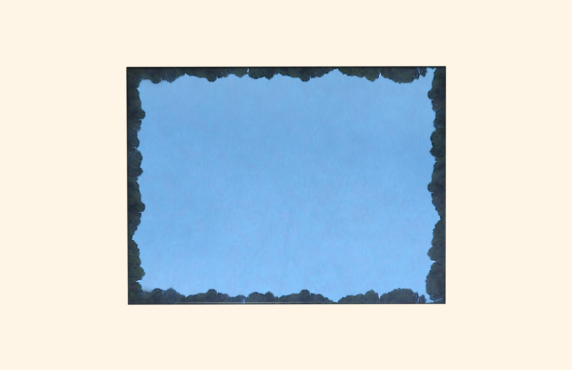 Wild Horses adult ashes casket top view