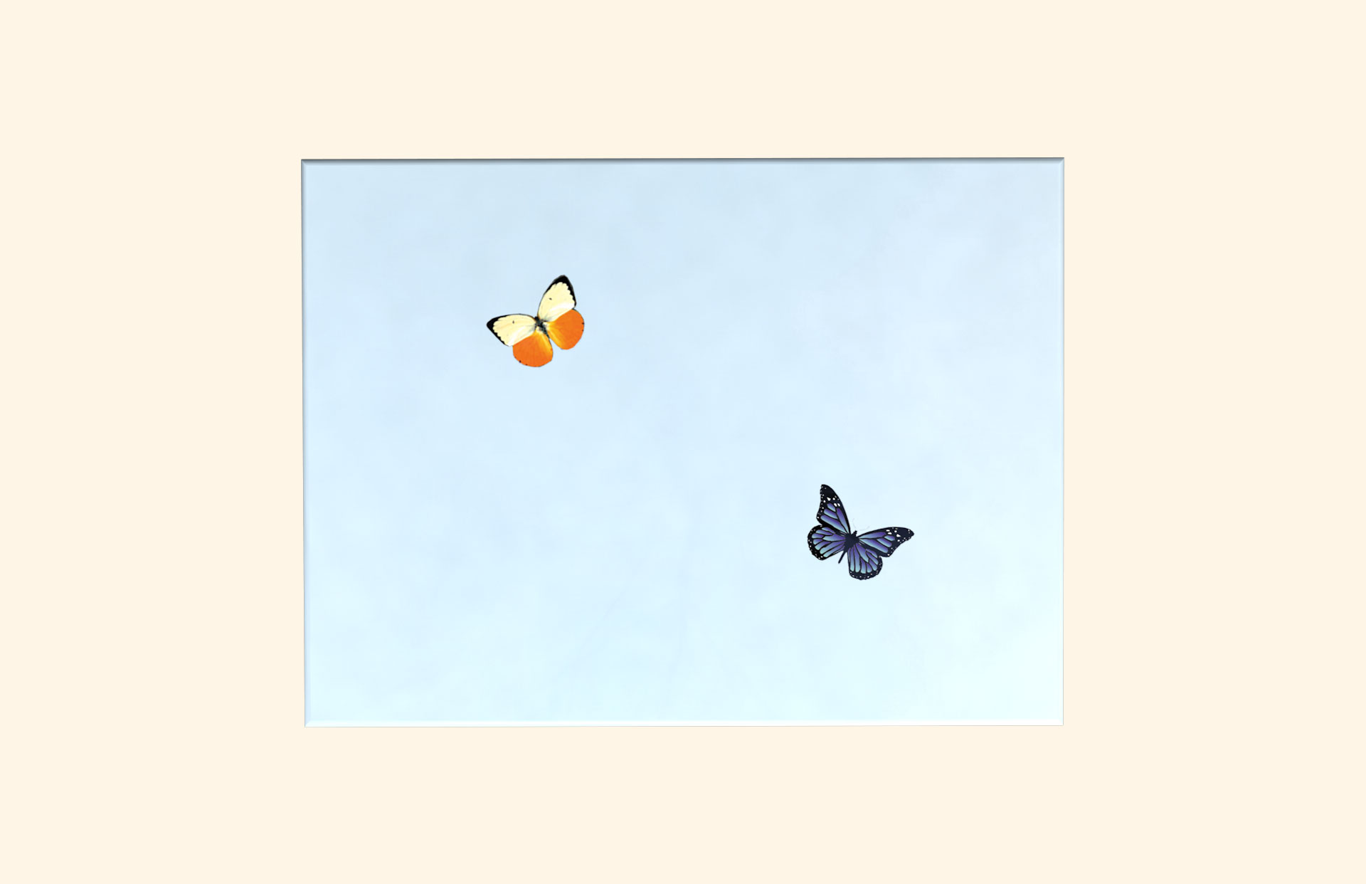 Cottage Garden adult ashes casket top view