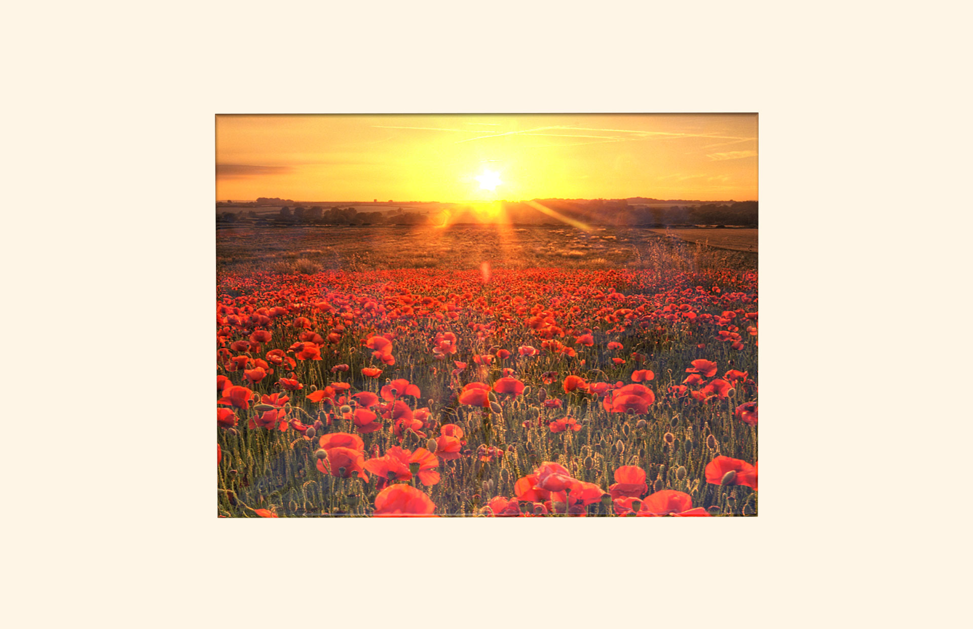 Remember adult ashes casket top view