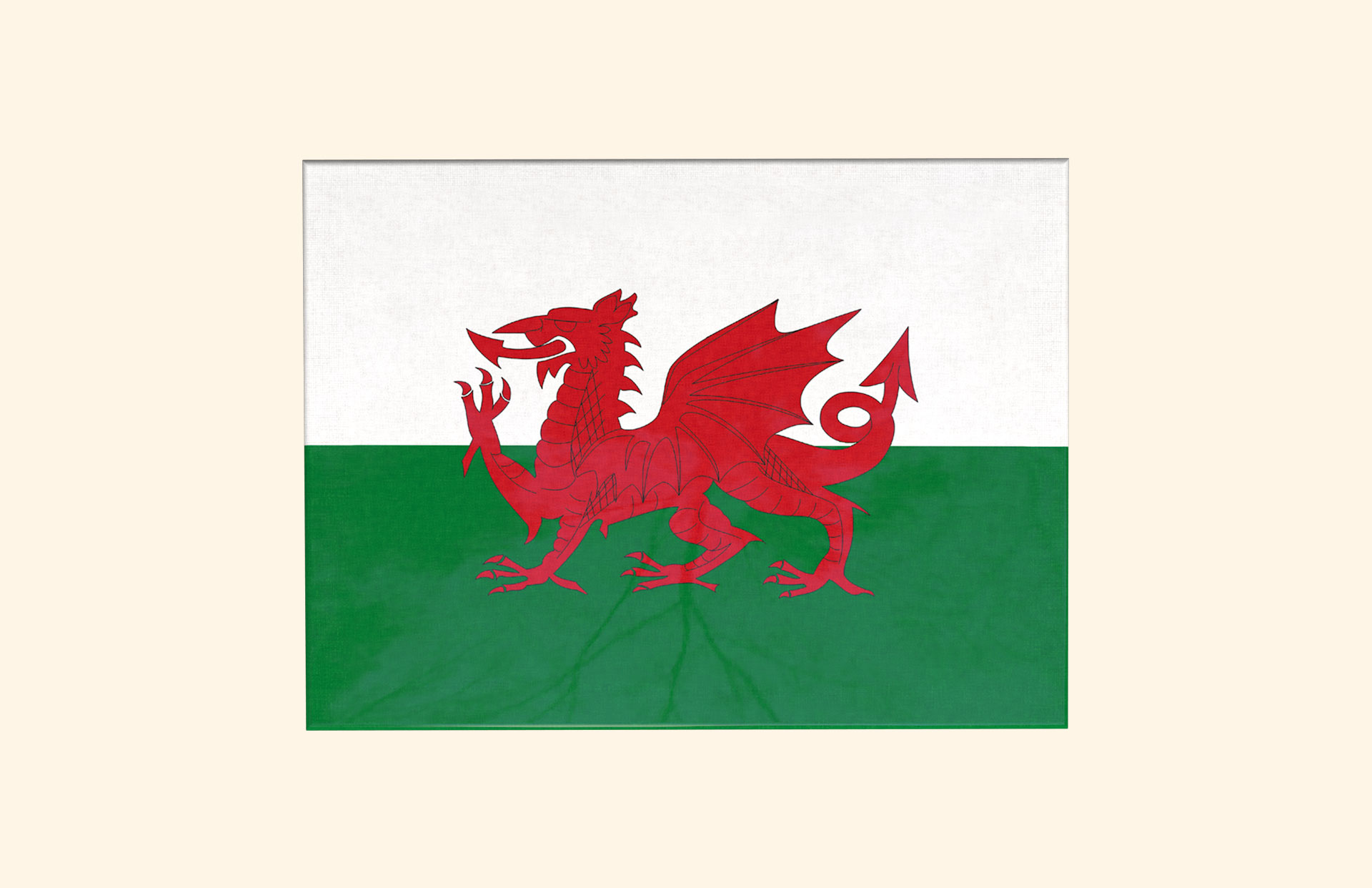 Welsh Flag (St David) top adult ashes casket top view