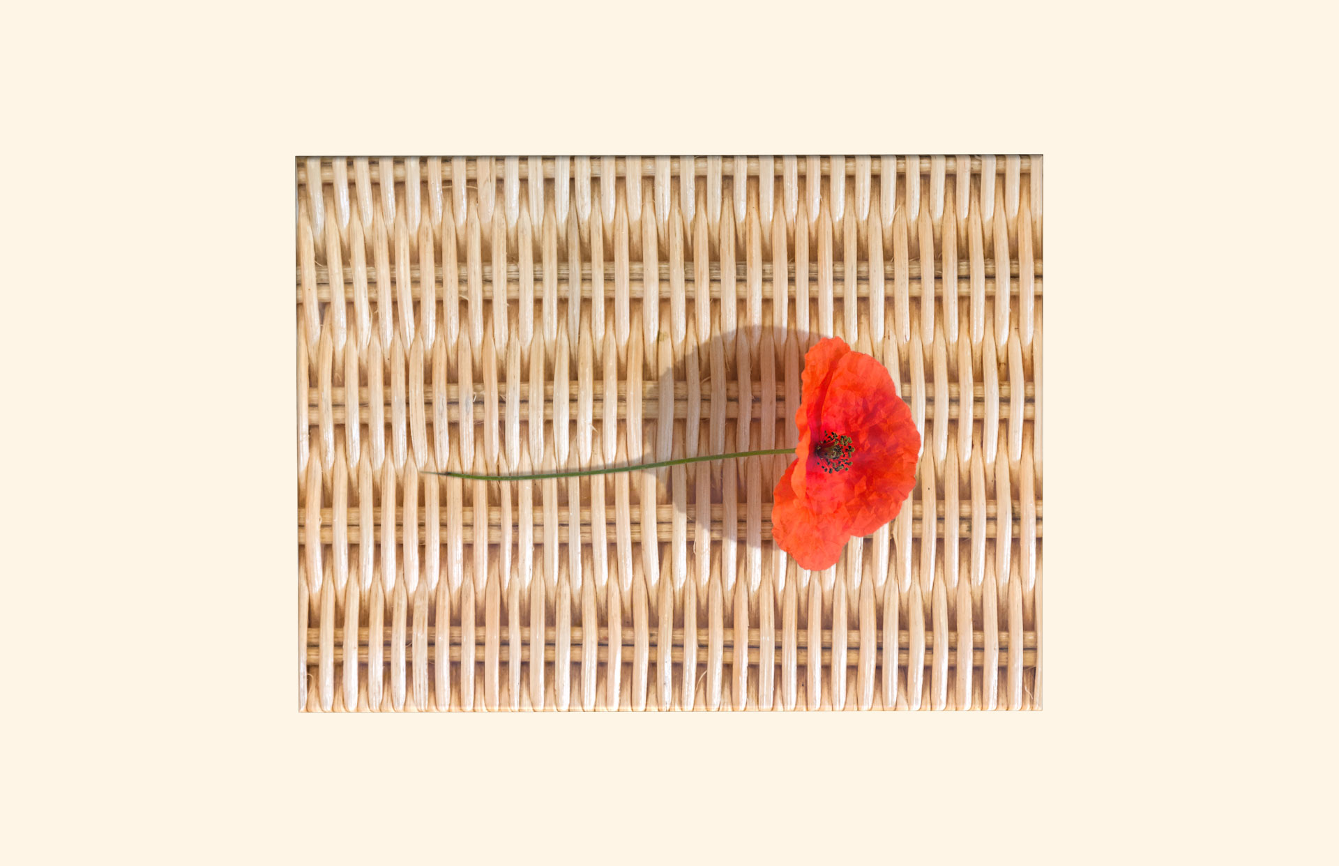 Wicker Basket with Poppy adult ashes casket top view