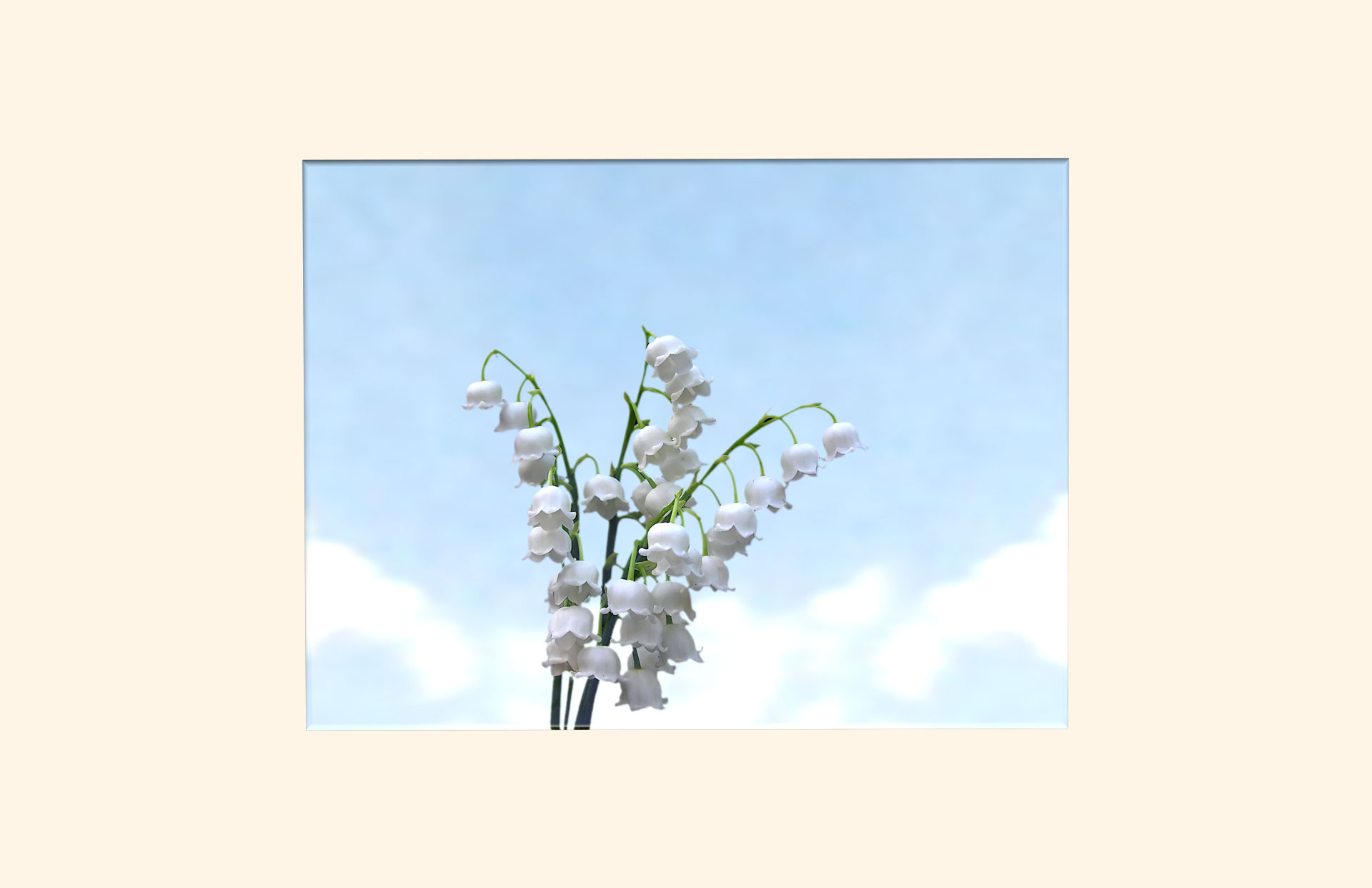 Lily of the Valley adult ashes casket top view