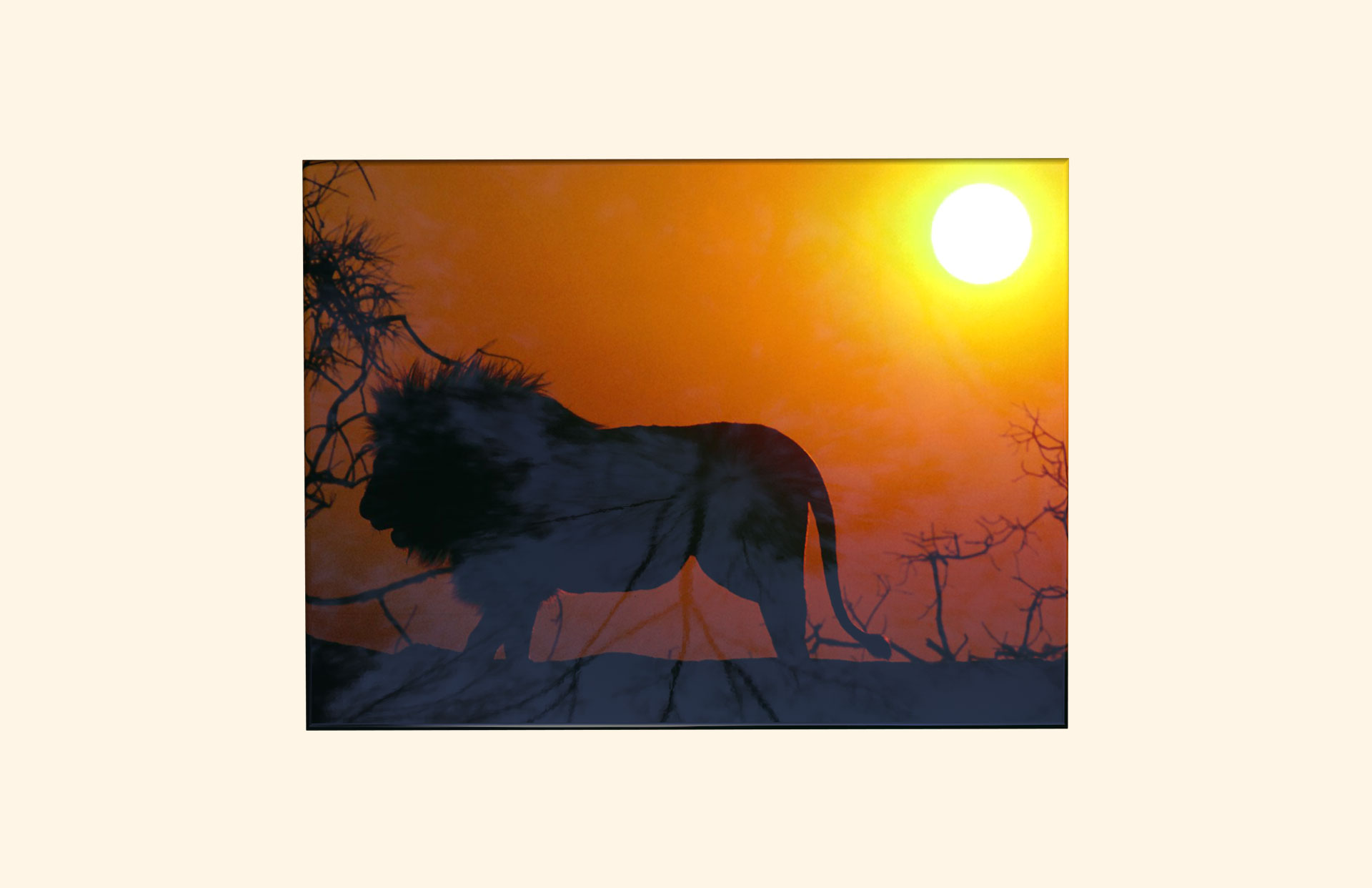 Lion at Sunset adult ashes casket top view