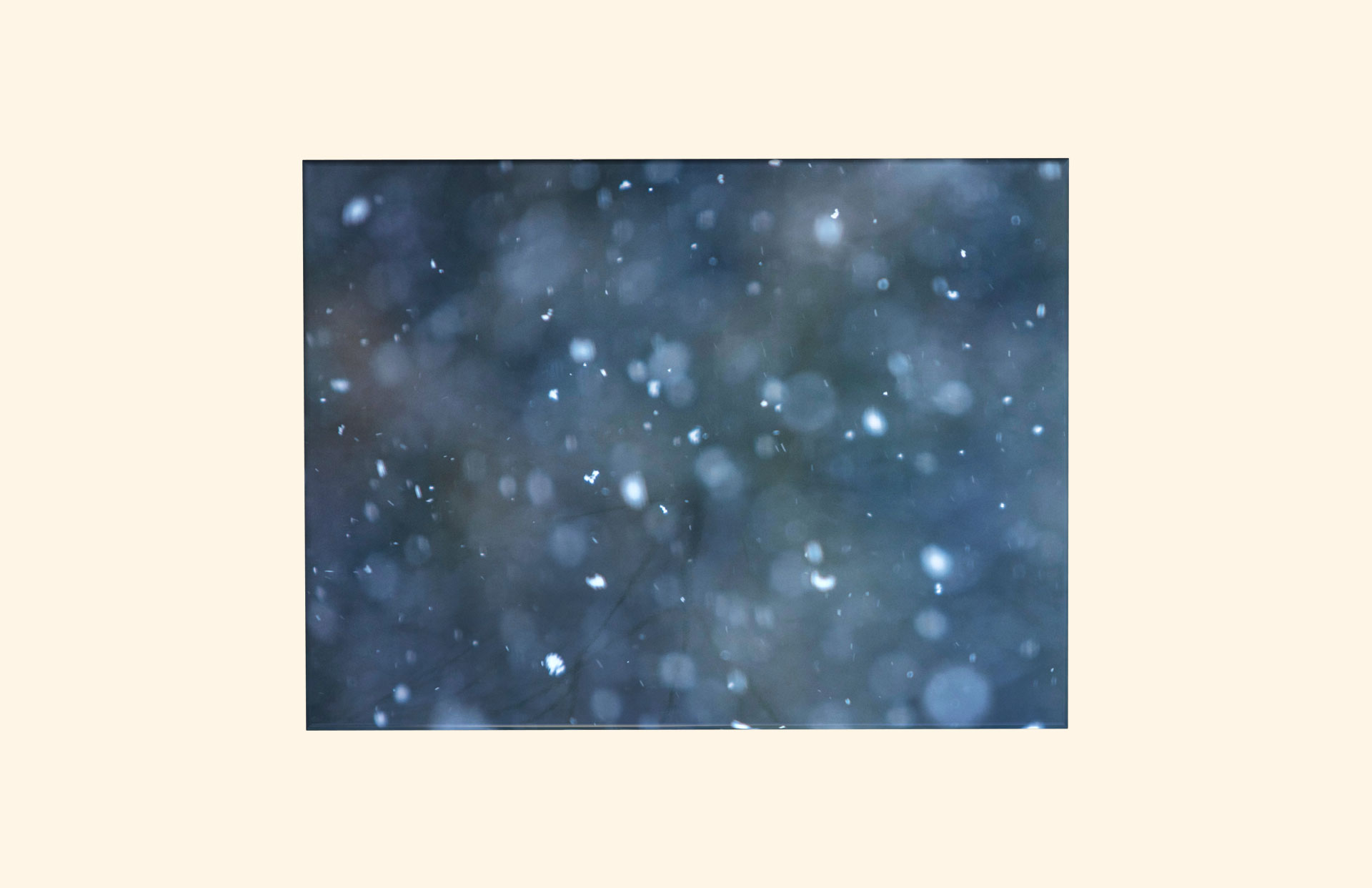 Winter Night adult ashes casket top view