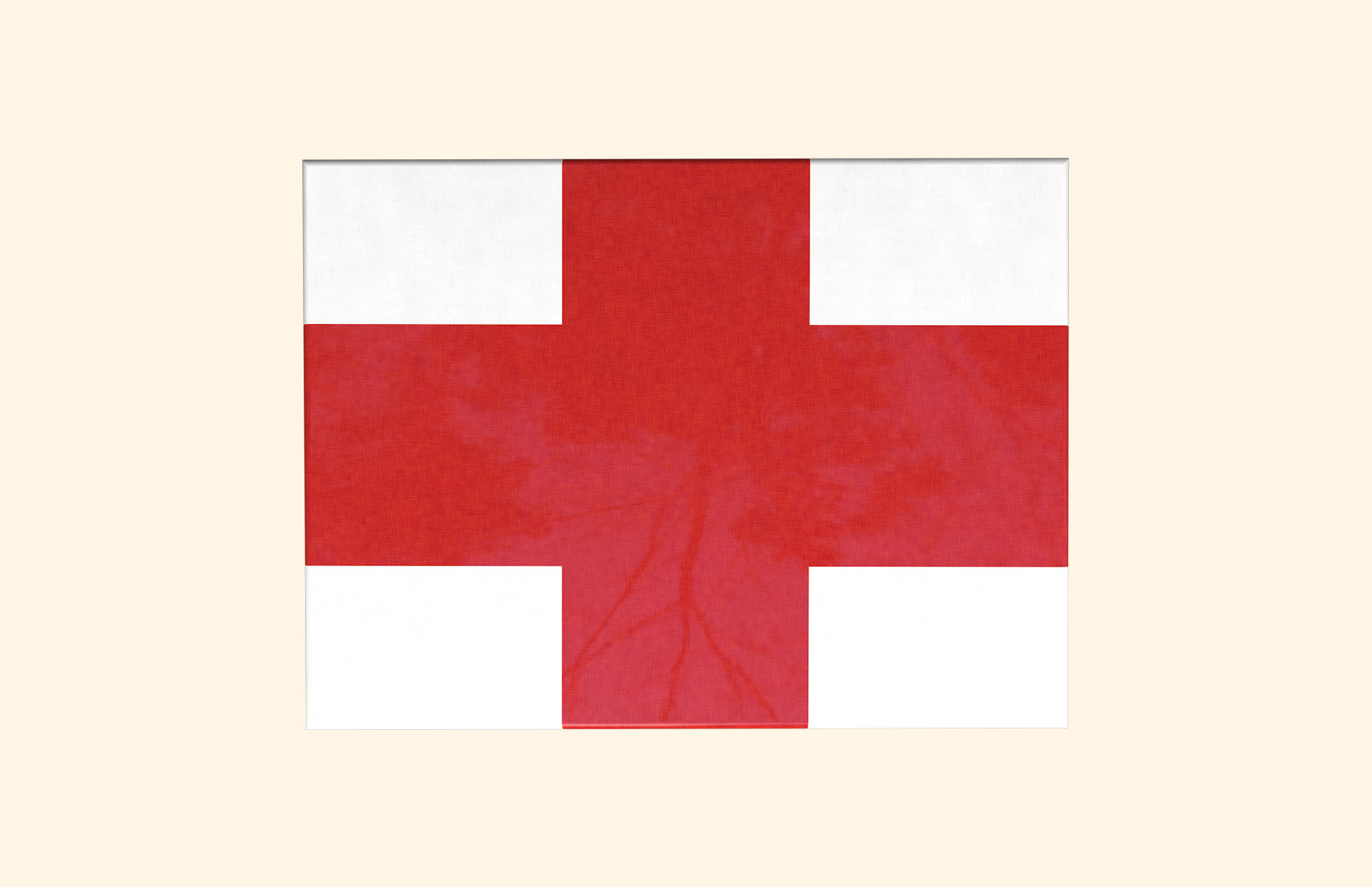 England Flag on Poppies adult ashes casket top view