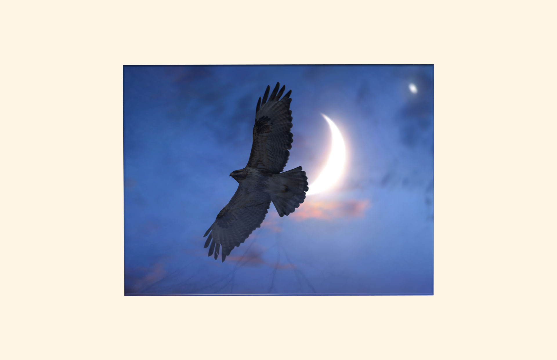 Eagle and Wolves adult ashes casket top view