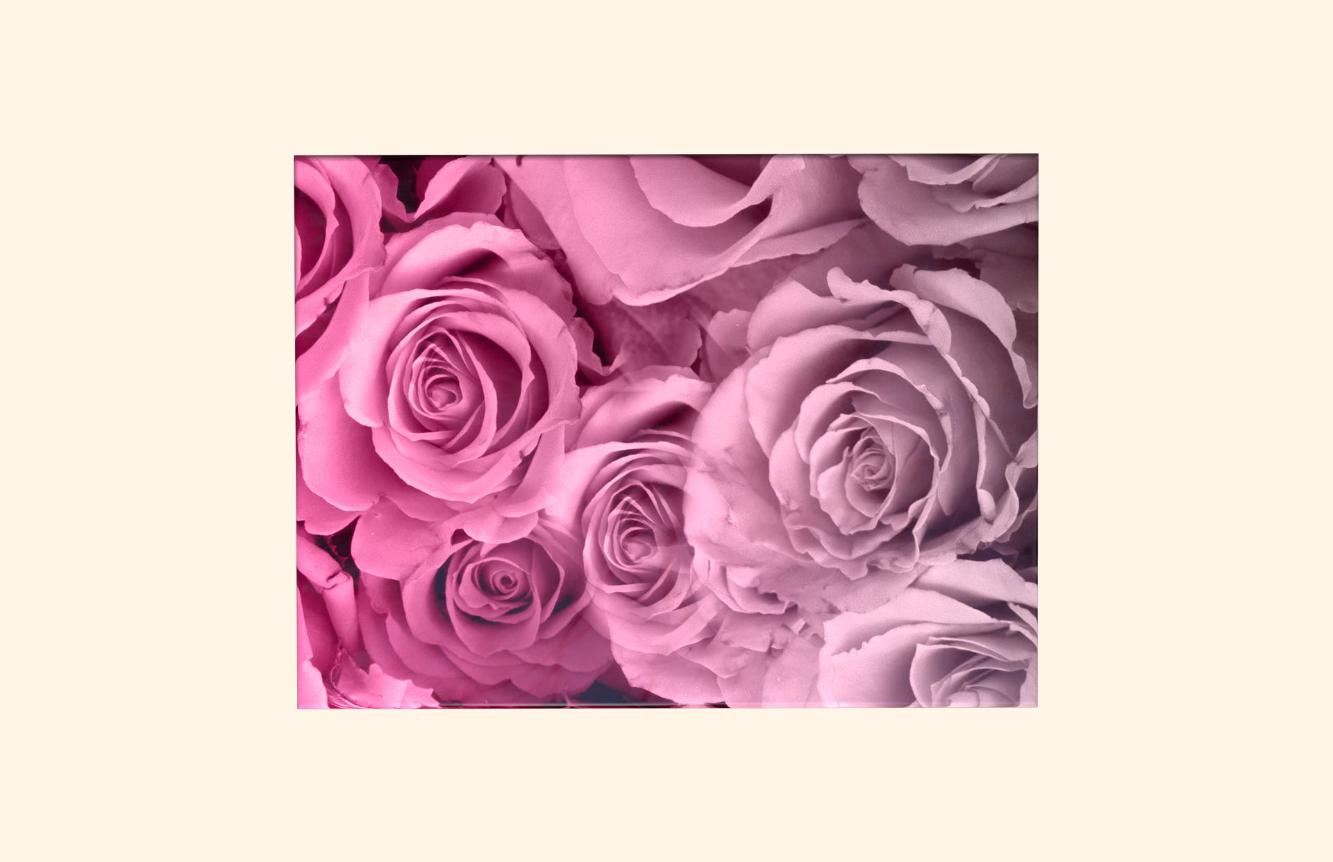 Bed of Roses adult ashes casket top view