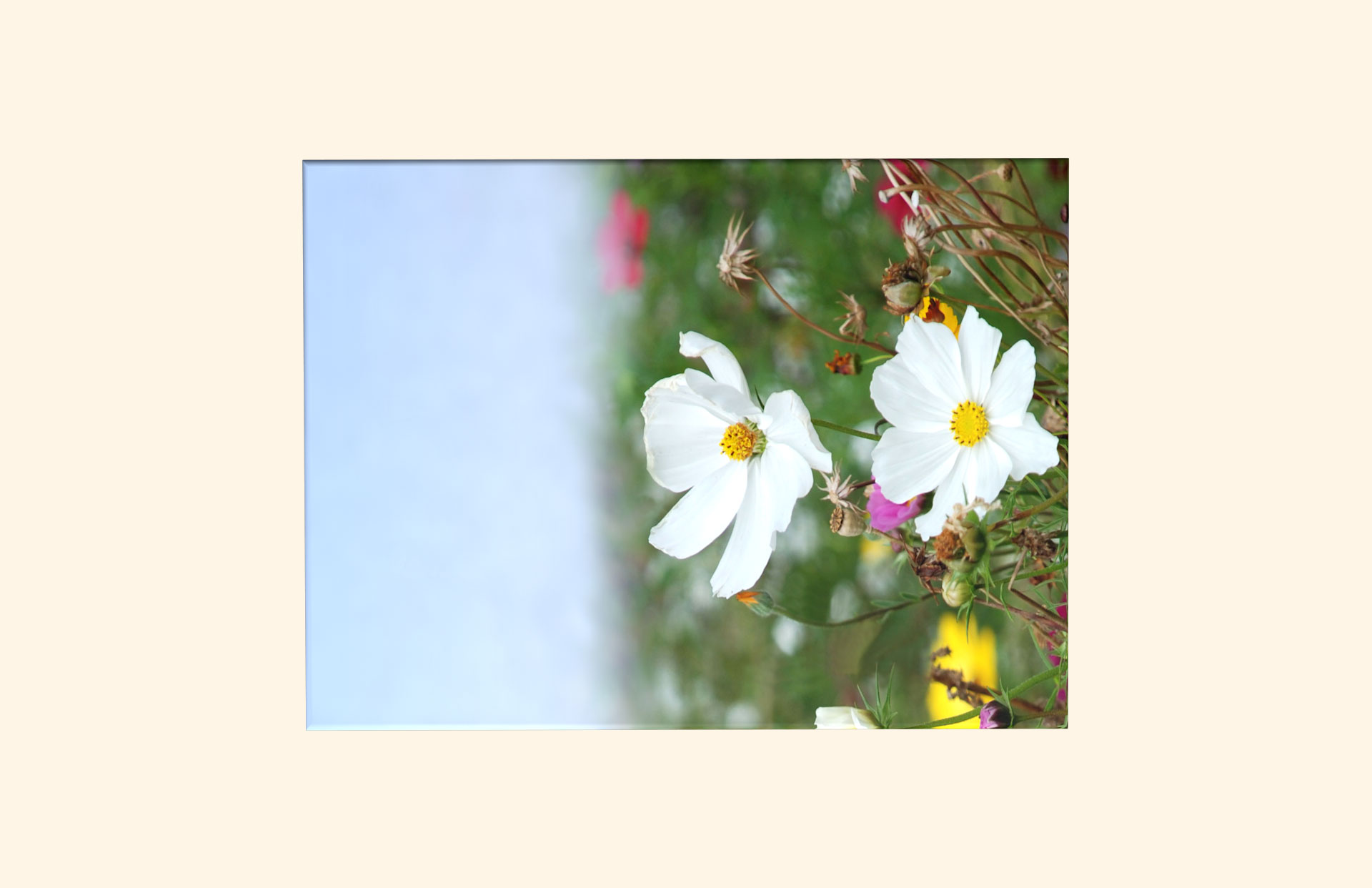 Walk on the Wilde Side adult ashes casket top view