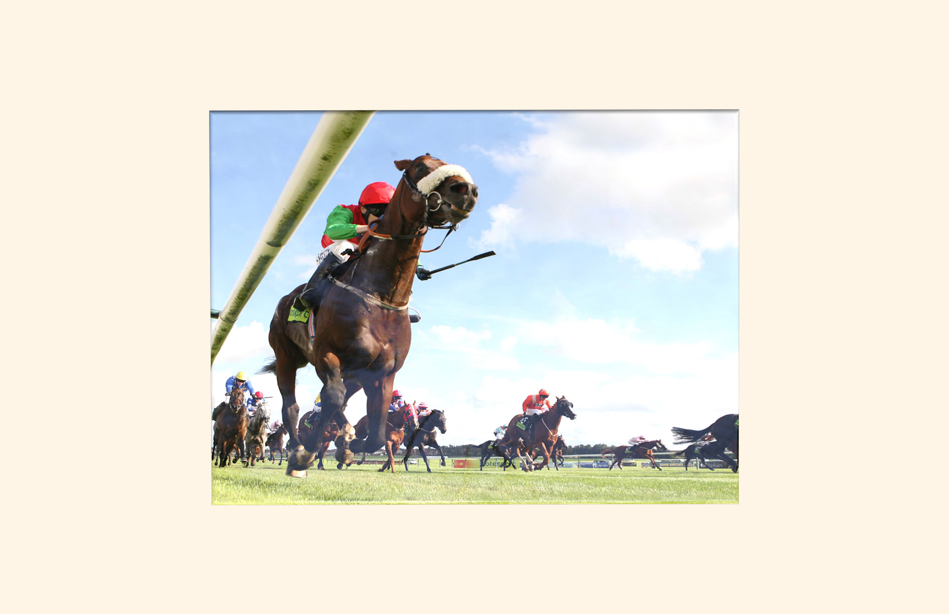 At the Races adult ashes casket top view