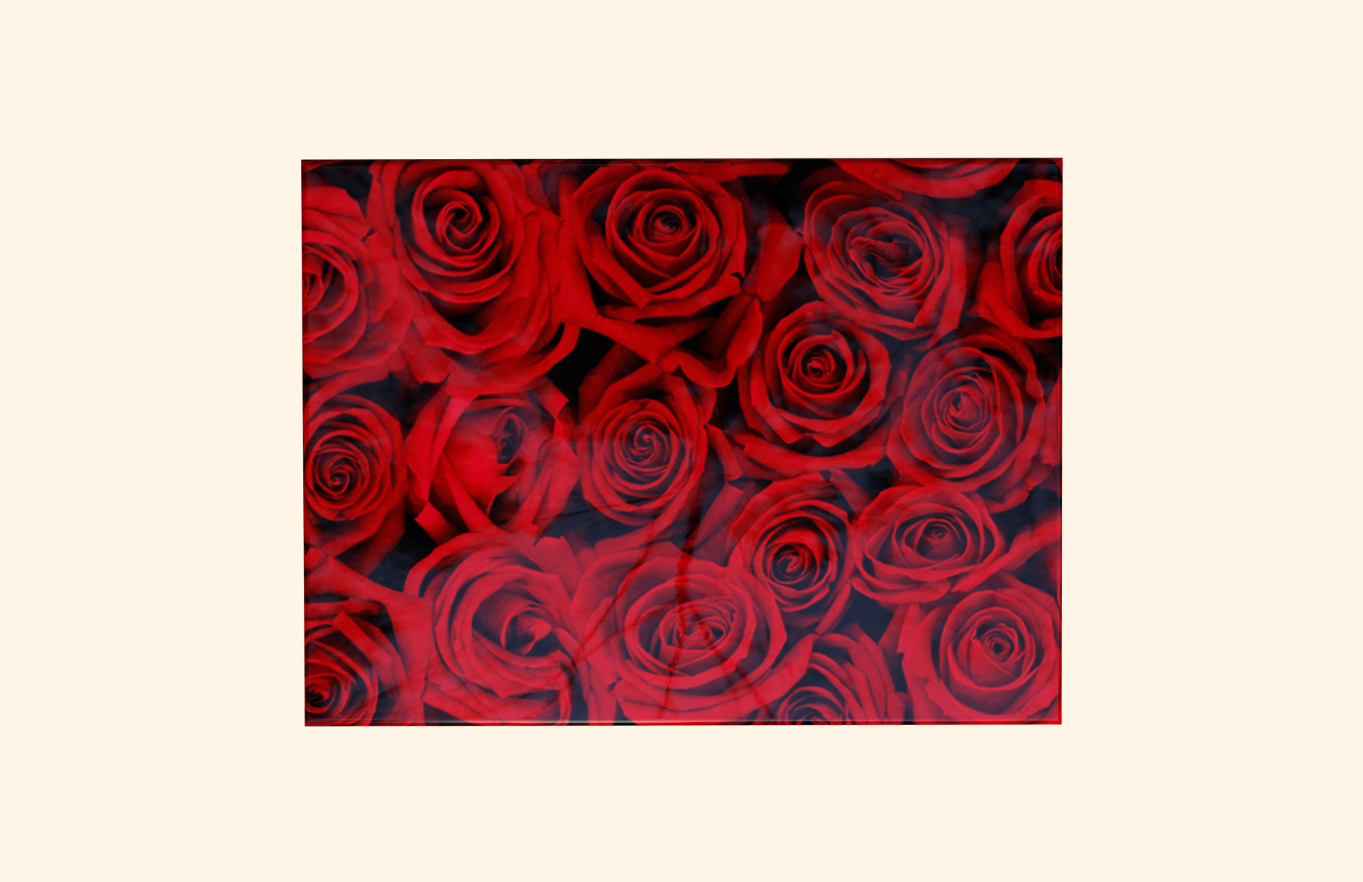 Rows of Roses adult ashes casket top view