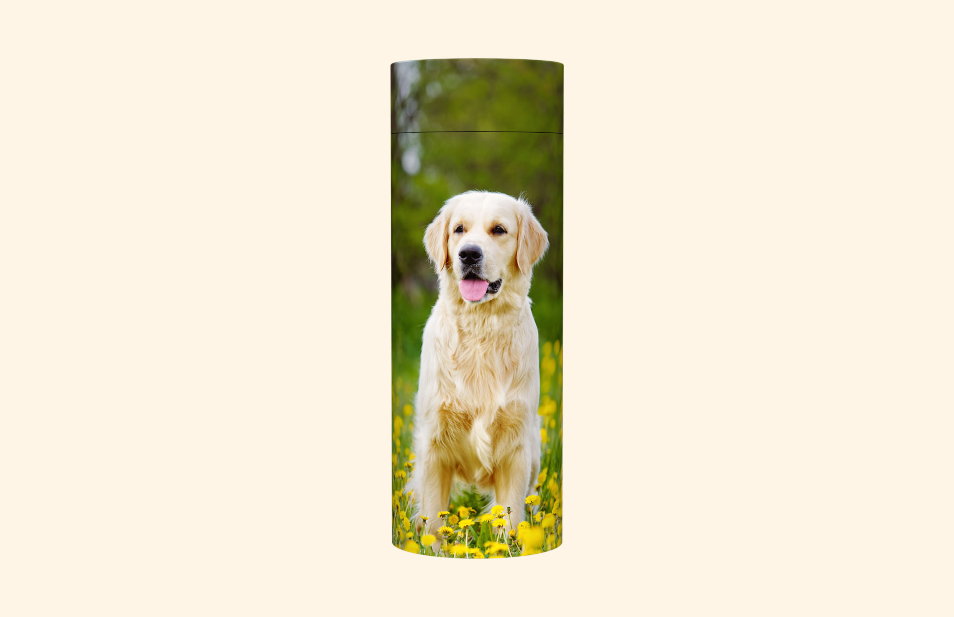 Beautiful Zoe adult scatter tube front view