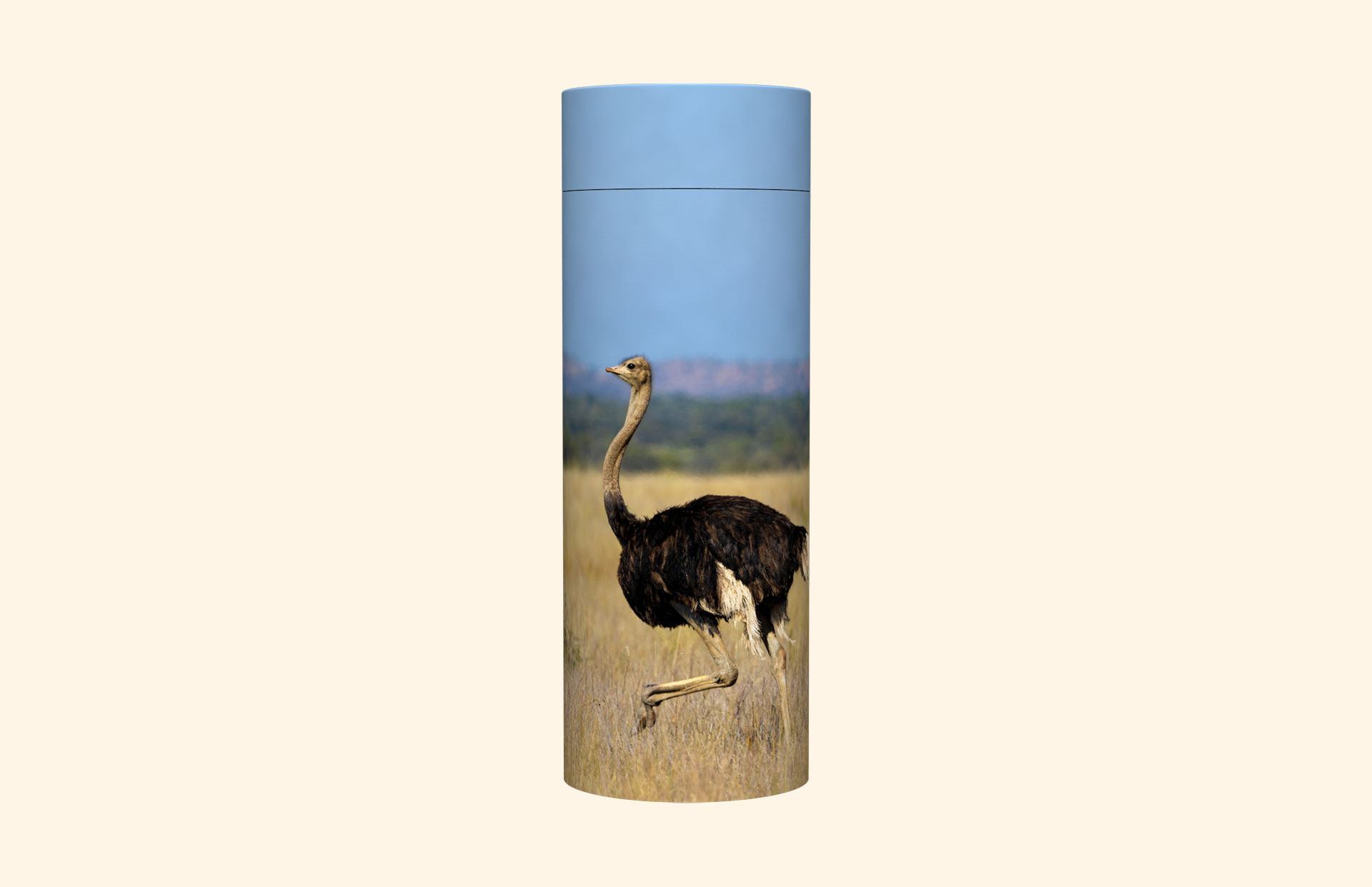 Ostrich Race adult scatter tube front view