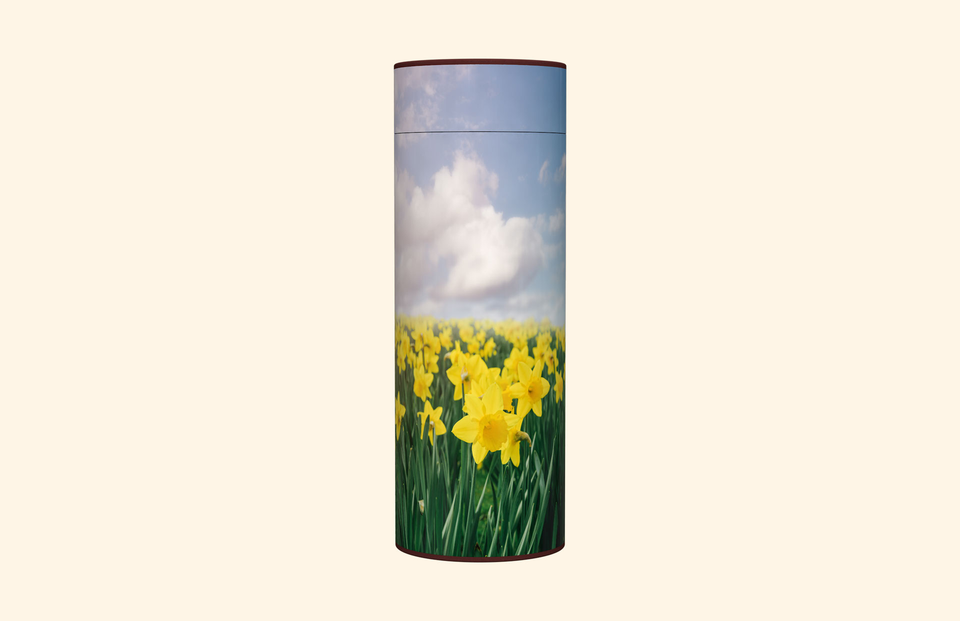 Field of Daffodils scatter tube front view